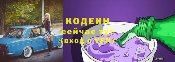 крисы Пересвет