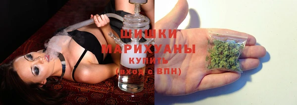 амф Покачи