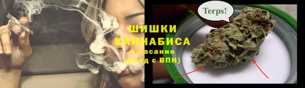 амф Покачи