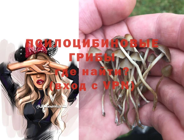 амф Покачи