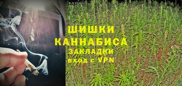 сатива Покровск