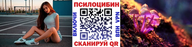 цена наркотик  мега как зайти  Псилоцибиновые грибы Magic Shrooms  Тарко-Сале 